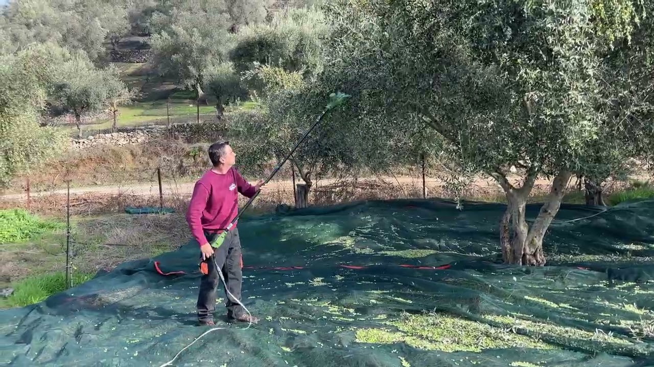AMOLIVO ALL CARBON OLIVE HARVESTER 2025