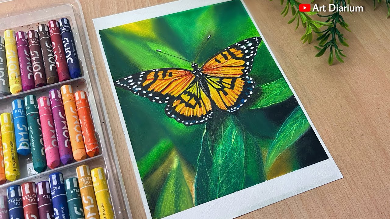Realistic Butterfly Drawing with Oil Pastel for Beginners- Step-by-step