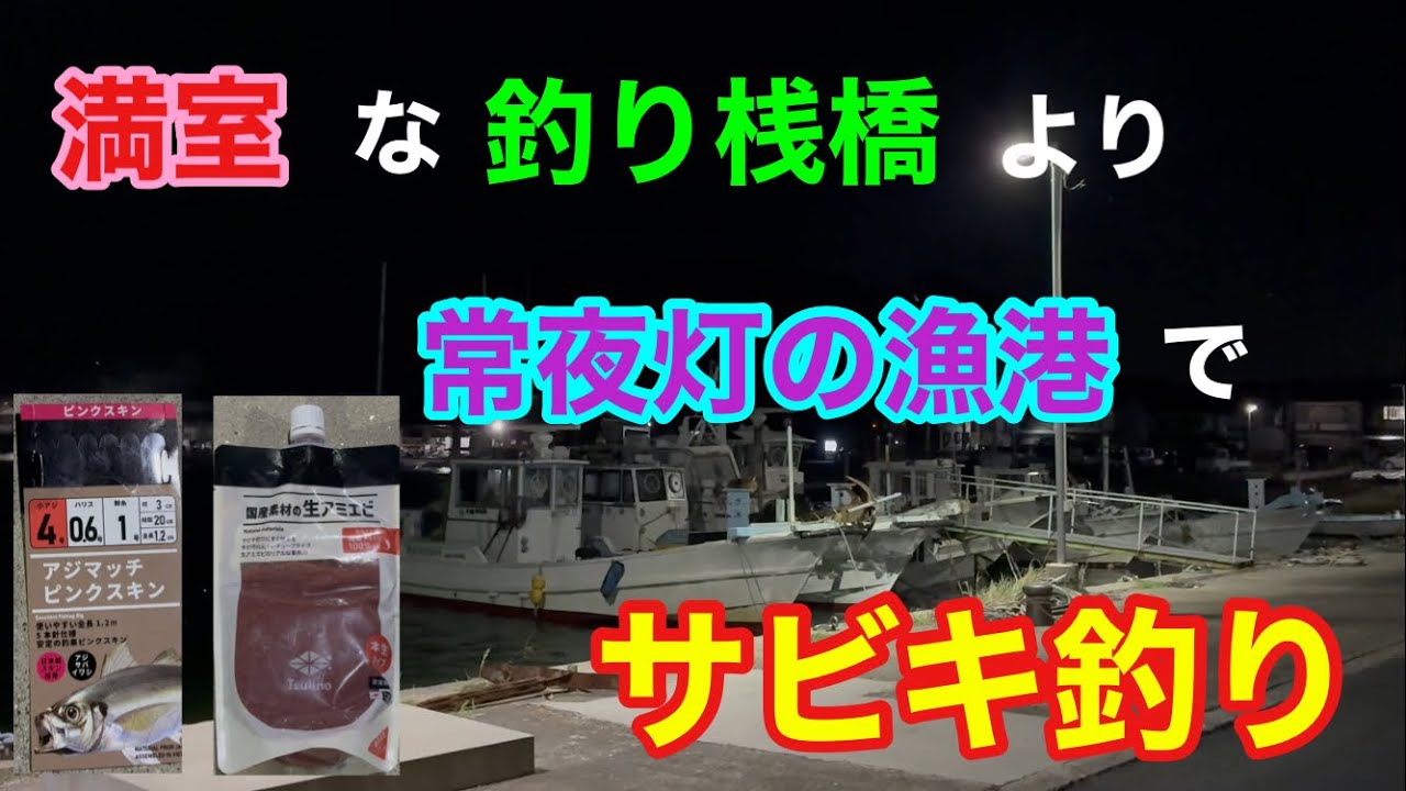 満室な釣り桟橋より常夜灯の漁港でサビキ釣り 知多半島