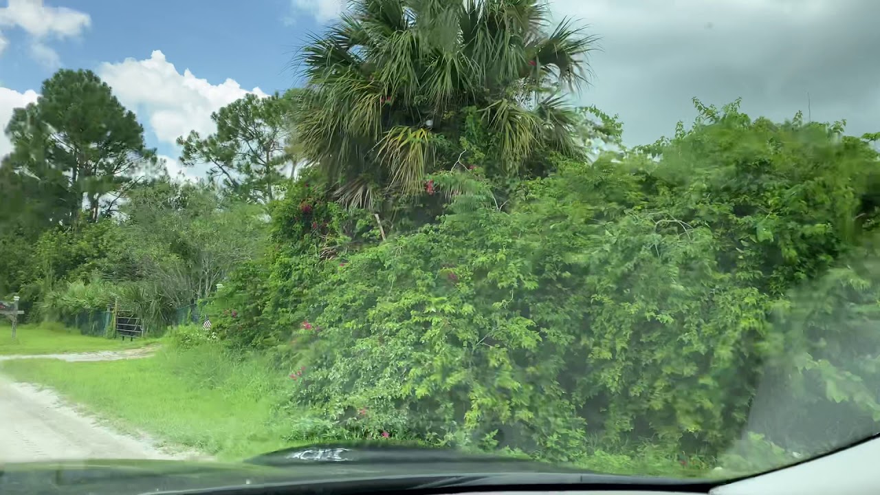 Vero Lake Estates drive