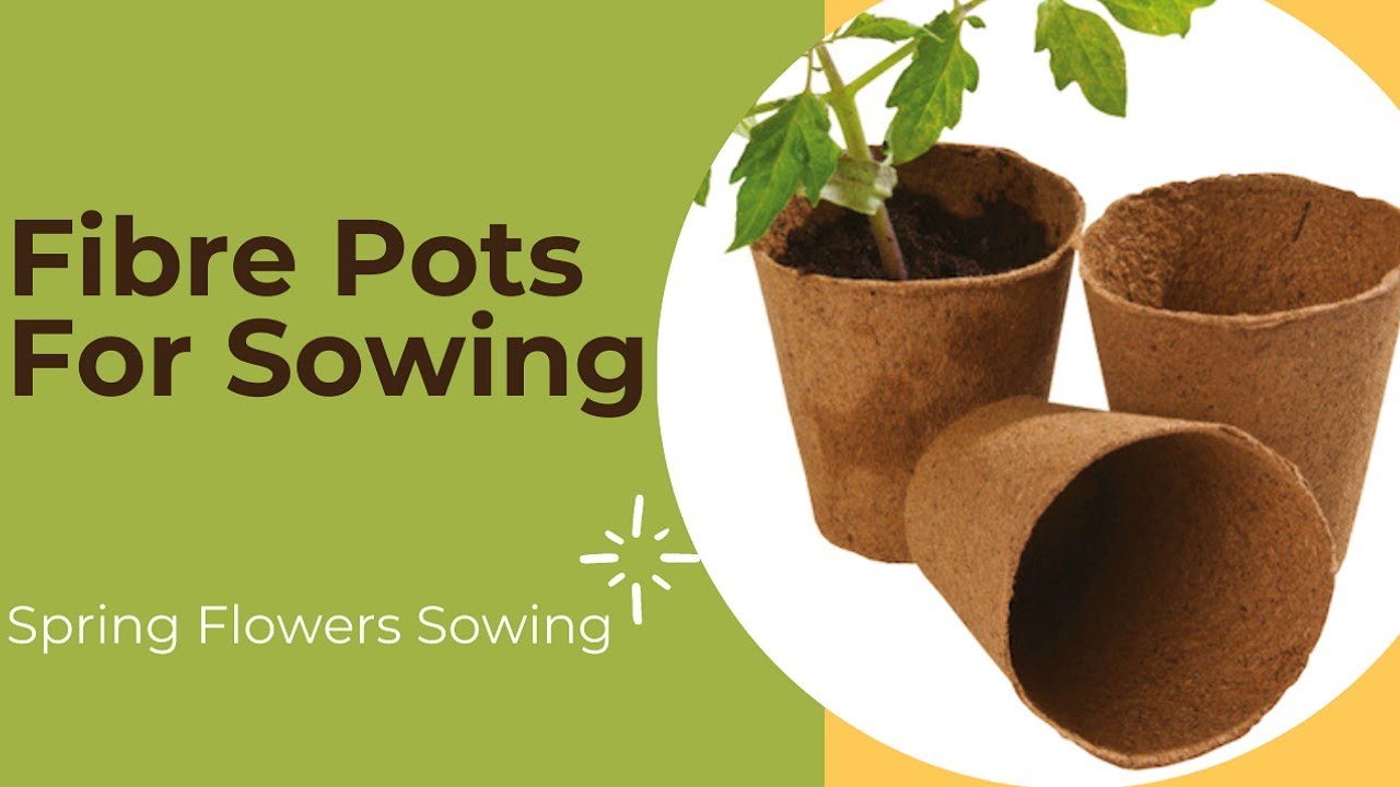 Fibre Pots | Peat pots | Jiffy pots for Sowing