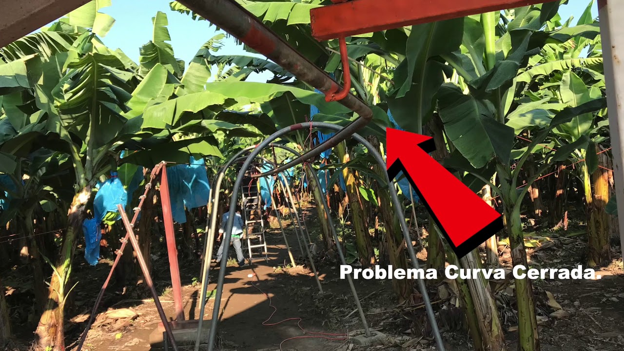 Reparación Curva 1 en Cable Via- Finca Arnoldo Anguiano