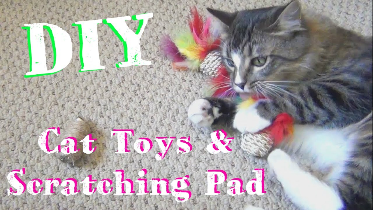 DIY Cat Toys ♥ And Scratching Pad