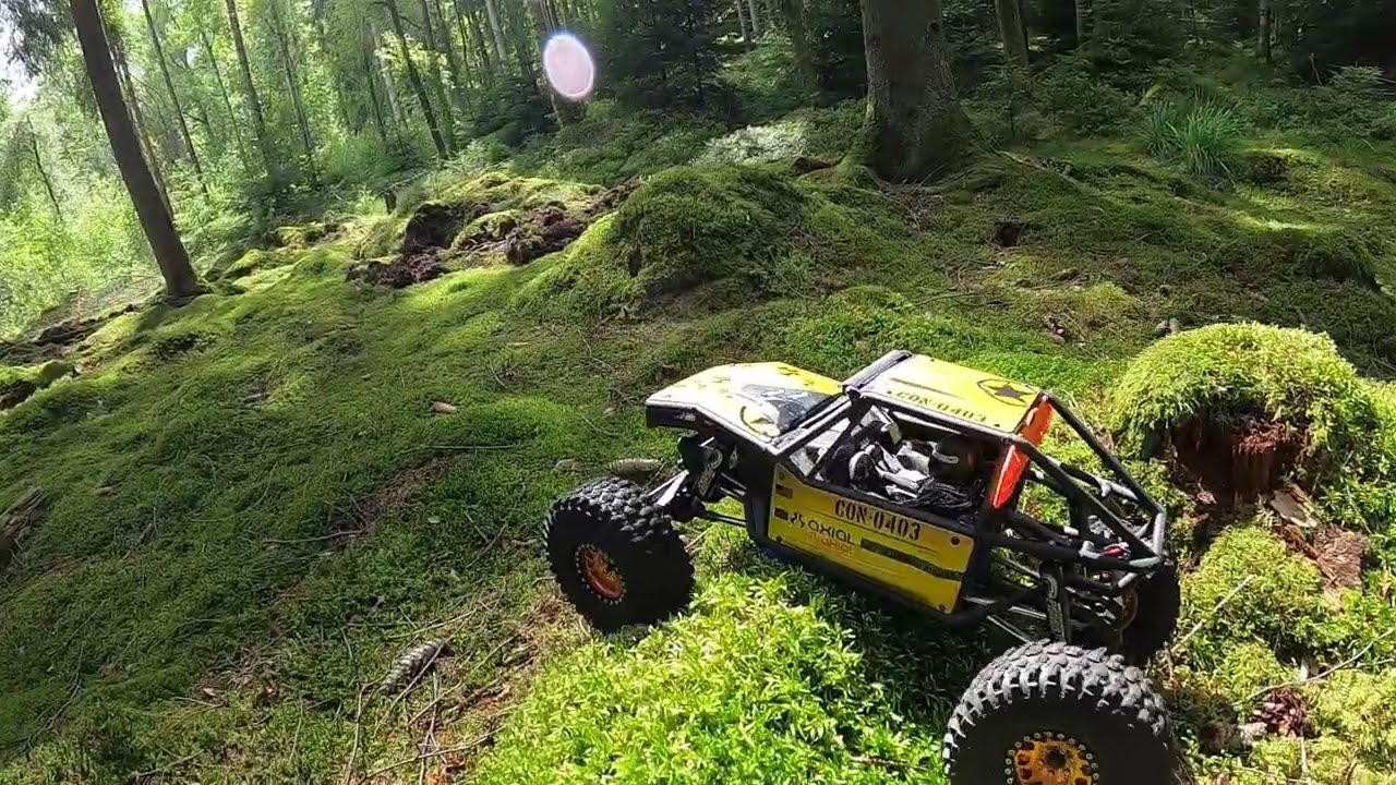 Axial Capra on Soft Moss