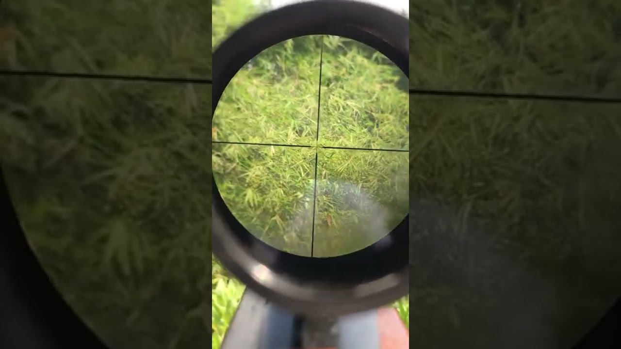 Vintage Bushnell Rifle Scope #rifle #firearms #shorts