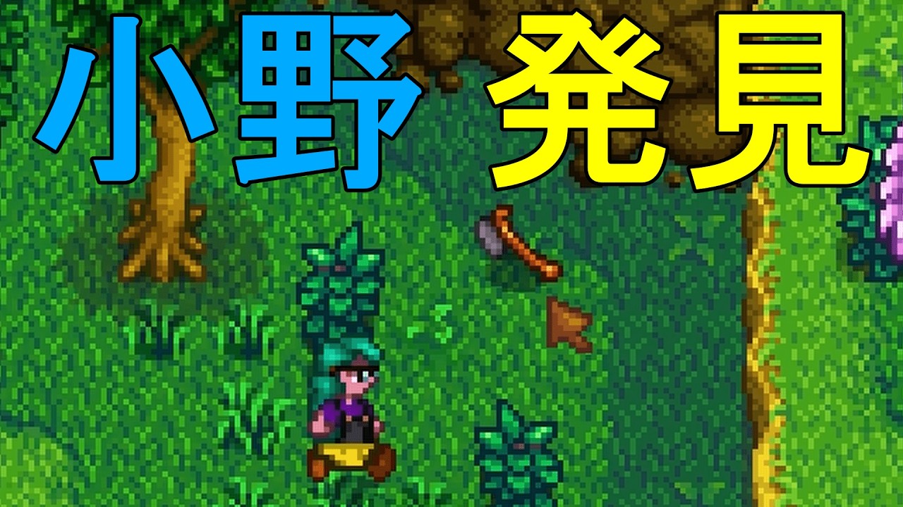 落とし物の斧探しとか　スターデューバレー