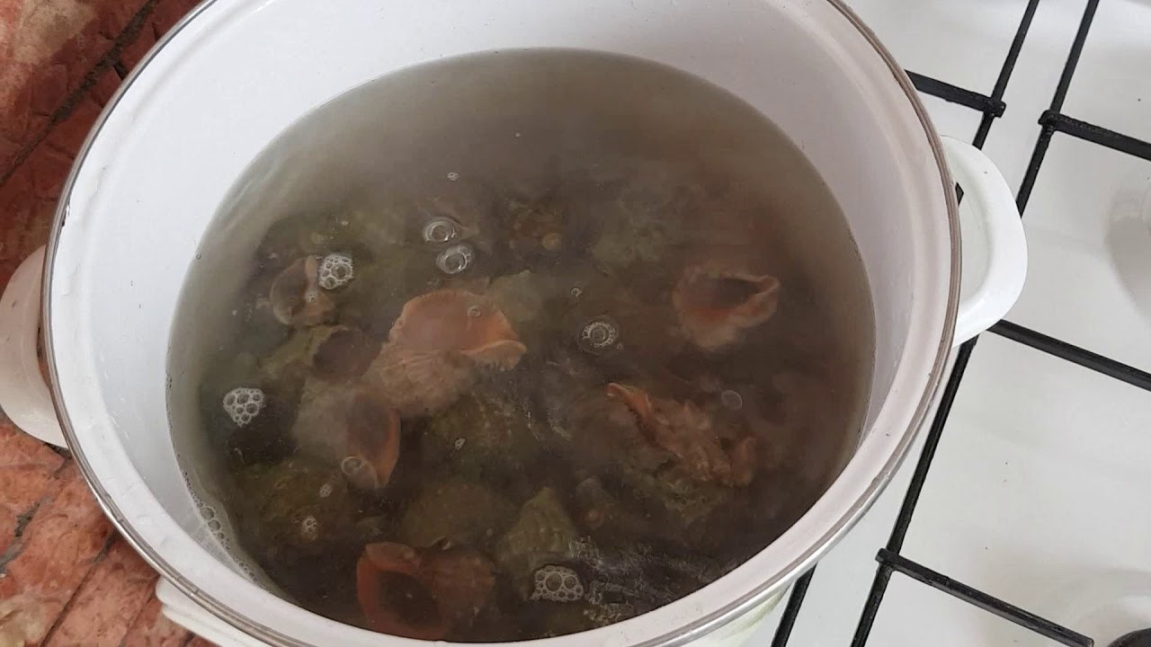 Secretul unui melc gatit cum trebuie...