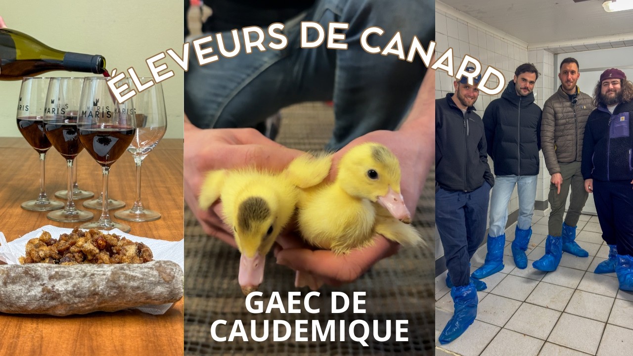 Le Casti Maris au GAEC de Caudemique