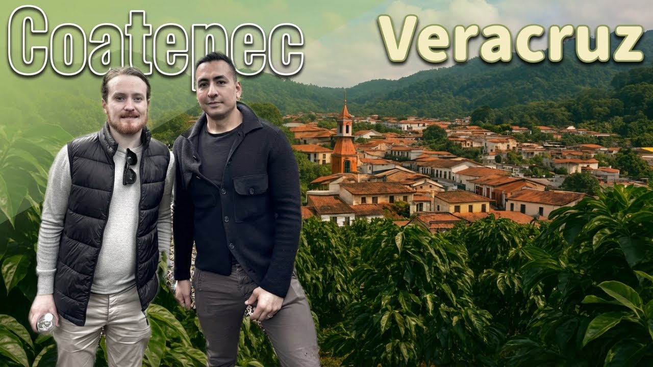 🇲🇽 COATEPEC Veracruz | Discovering the Land of the Mexican COFFEE ☕️