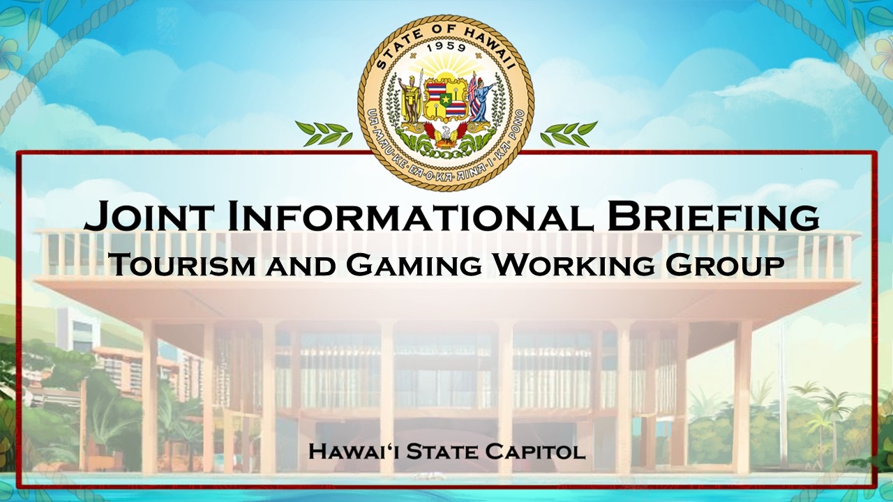 Tourism and Gaming Working Group (TGWG) - Thu Mar 12, 2026 @ 1:00 PM HST