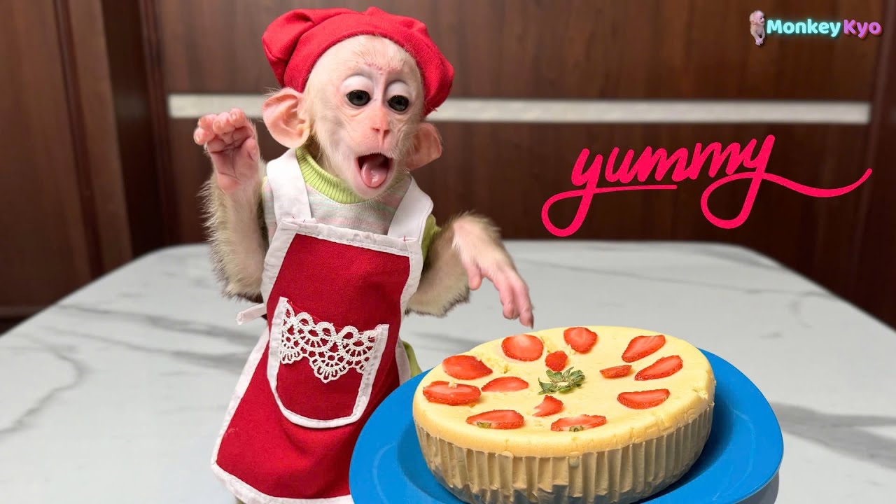 Monkey Kyo obediently works hard to learn how to make super delicious cakes!