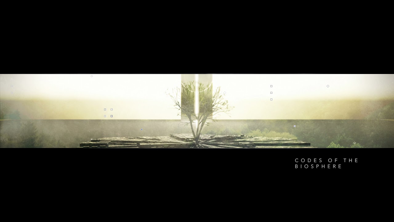 07 Codes of the Biosphere