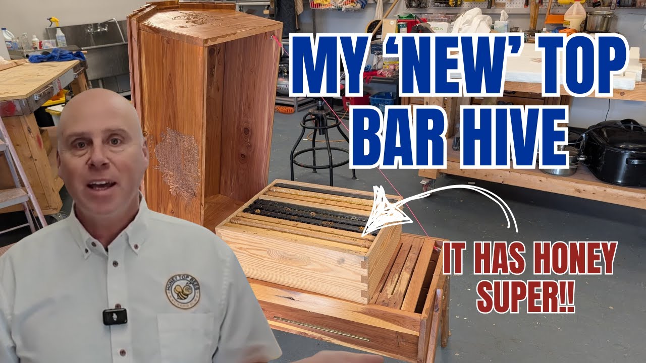 I Found An Amazing Top Bar Hive with a Honey Super Feature!