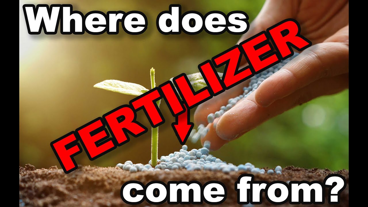 Where does FERTILIZER come from?
