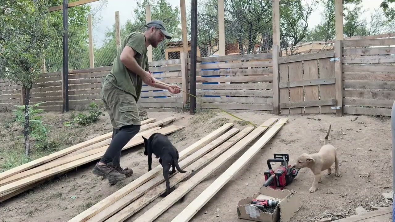 Жизнь в горном раю: покой, животные и чистое счастье