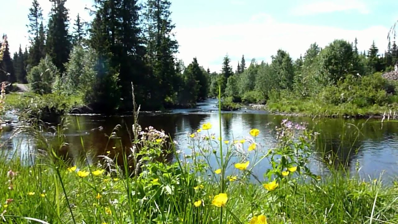 Schweden Sverige Dalarna
