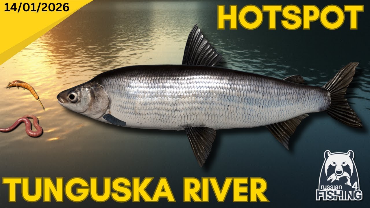 Whitefish Hotspot - Tunguska River - Russian Fishing 4