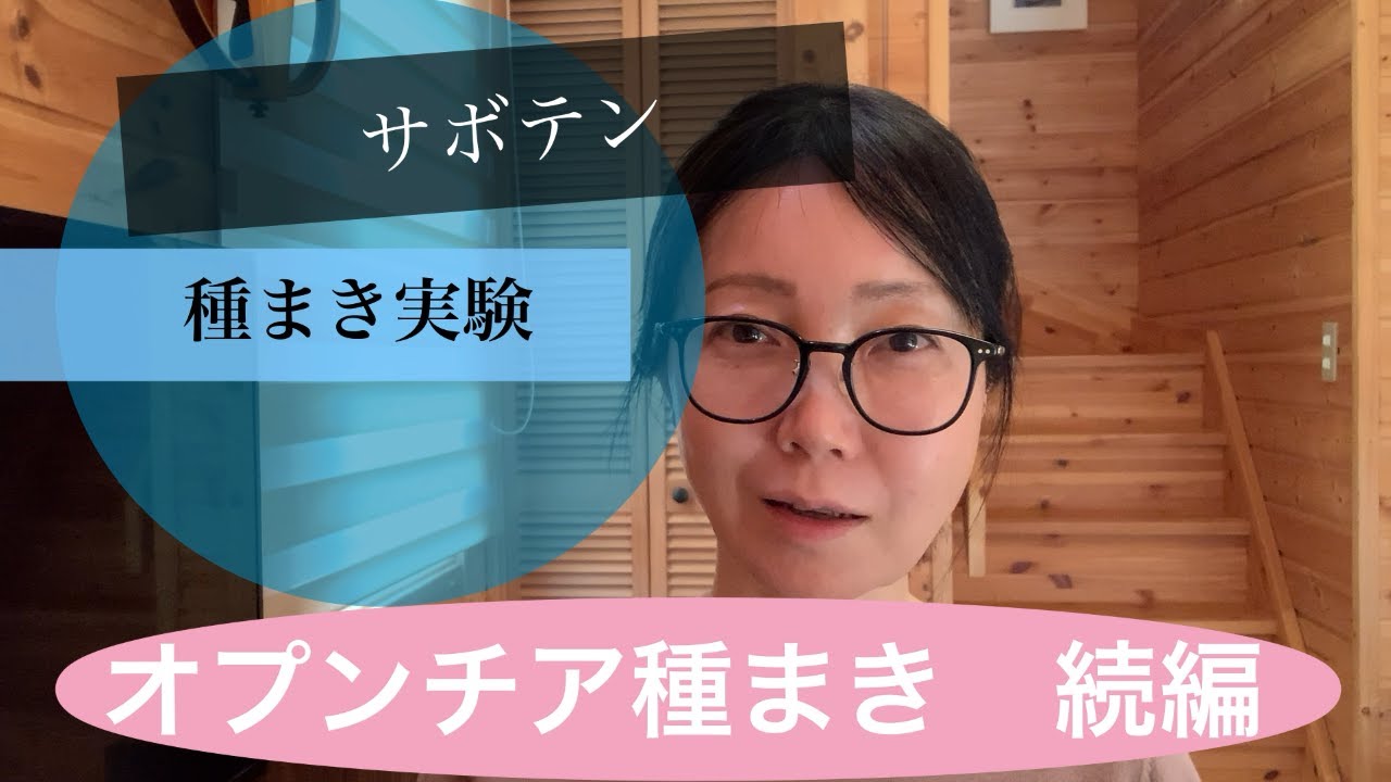 オプンチア発芽実験【続編①】【サボテン】【ウチワサボテン】