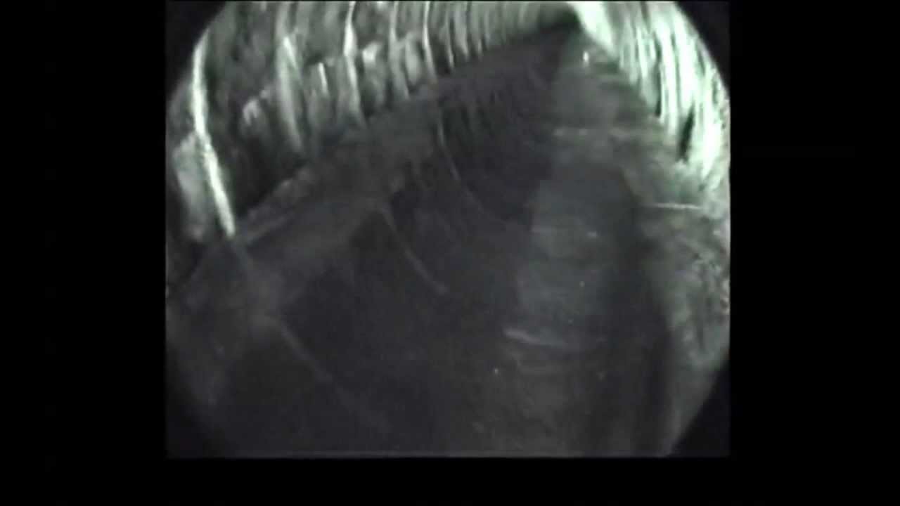 Gassi - Back Cave