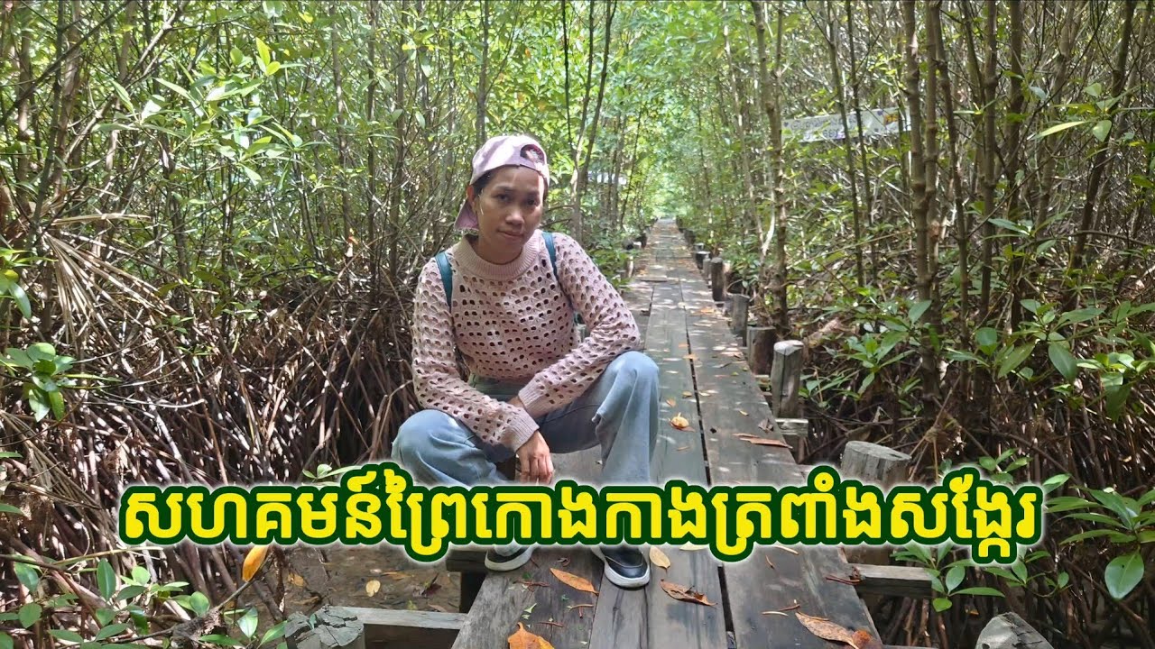 សហគមន៍ព្រៃកោងកាង ត្រពាំងសង្កែរ ខេត្តកំពត​​ ទេសភាពស្អាត - Mangrove Community in Kampot Cambodia