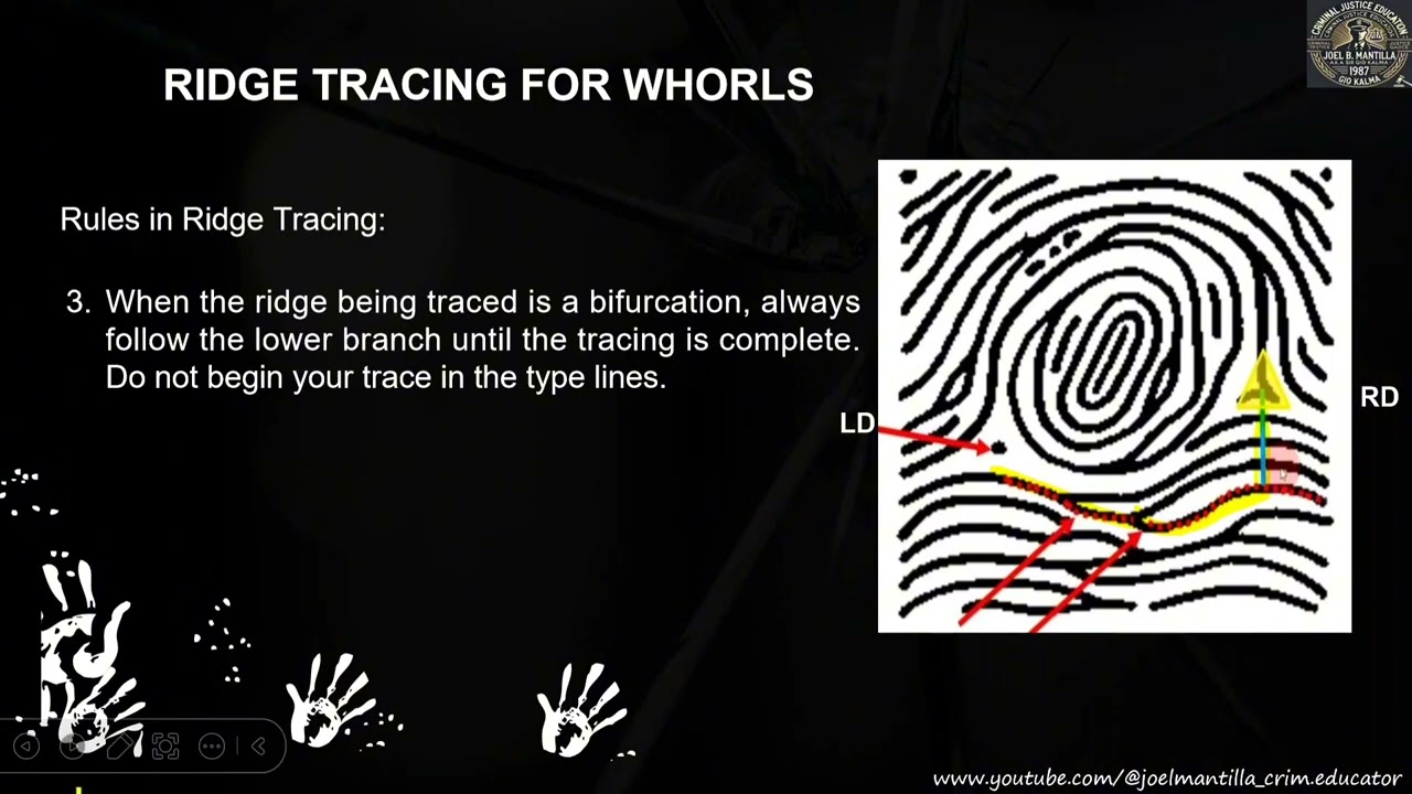 Fingerprint Pattern: Whorl Pattern, Ridge Tracing and Result for Ridge Tracing