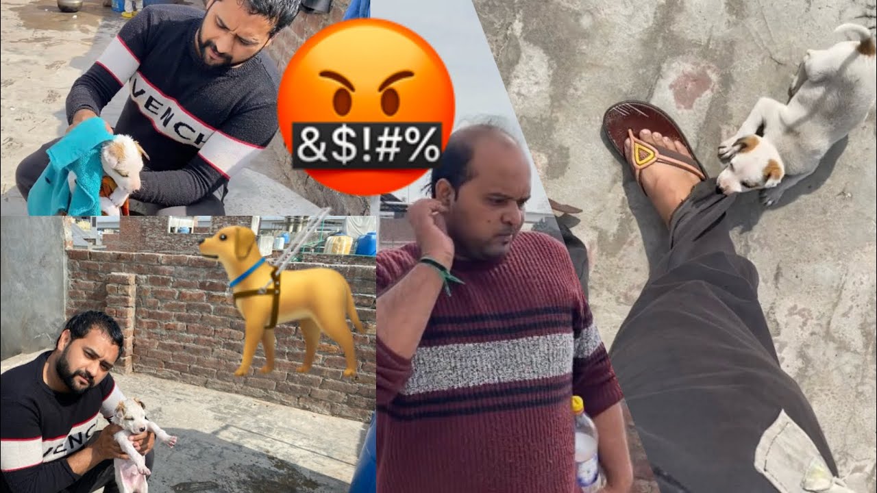 |DOG Attack By ME|🤬AAj ROCKY KO SHAWAR KARDIYA HAI MUJHSE NARAZ HO GYA HAI 😰