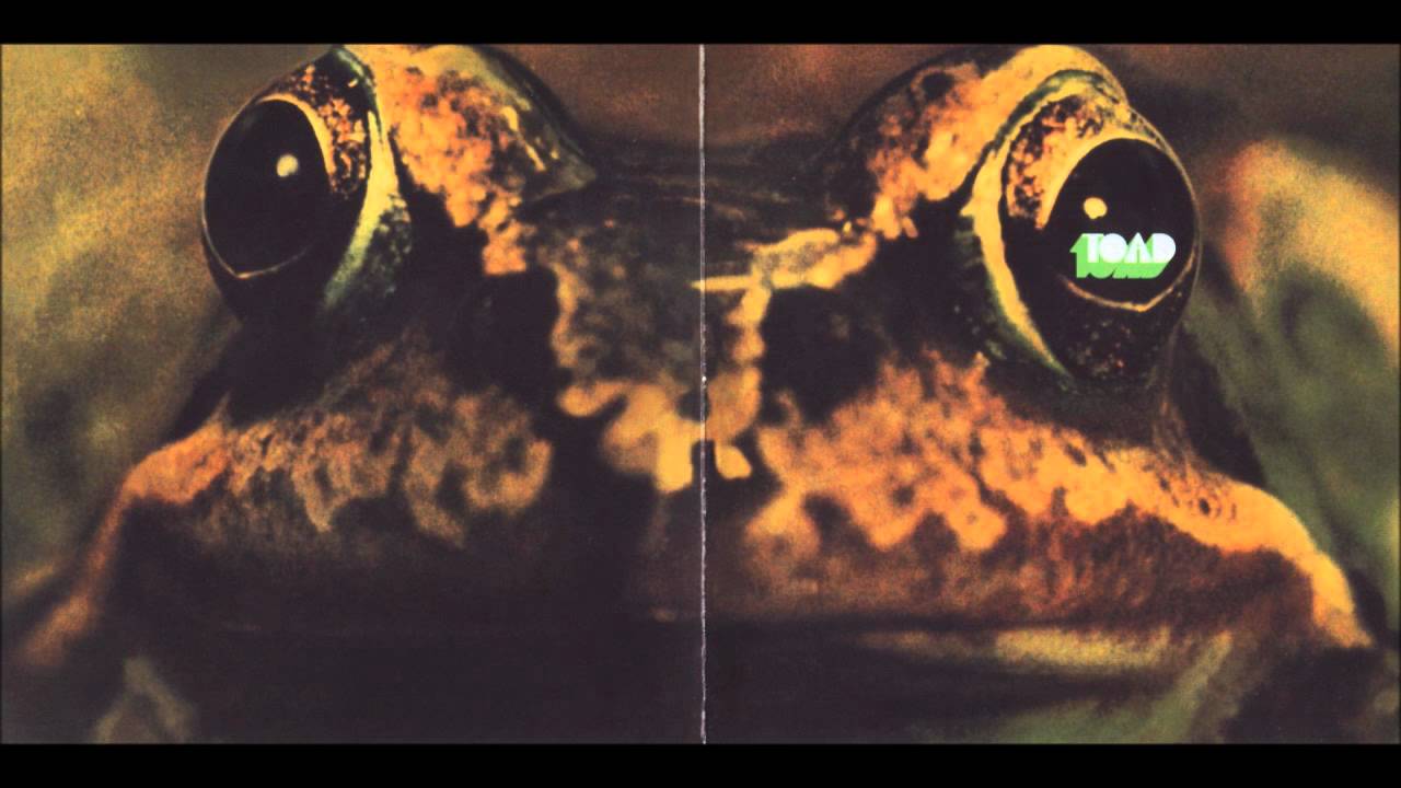 Toad - Life Goes On (1971) HQ