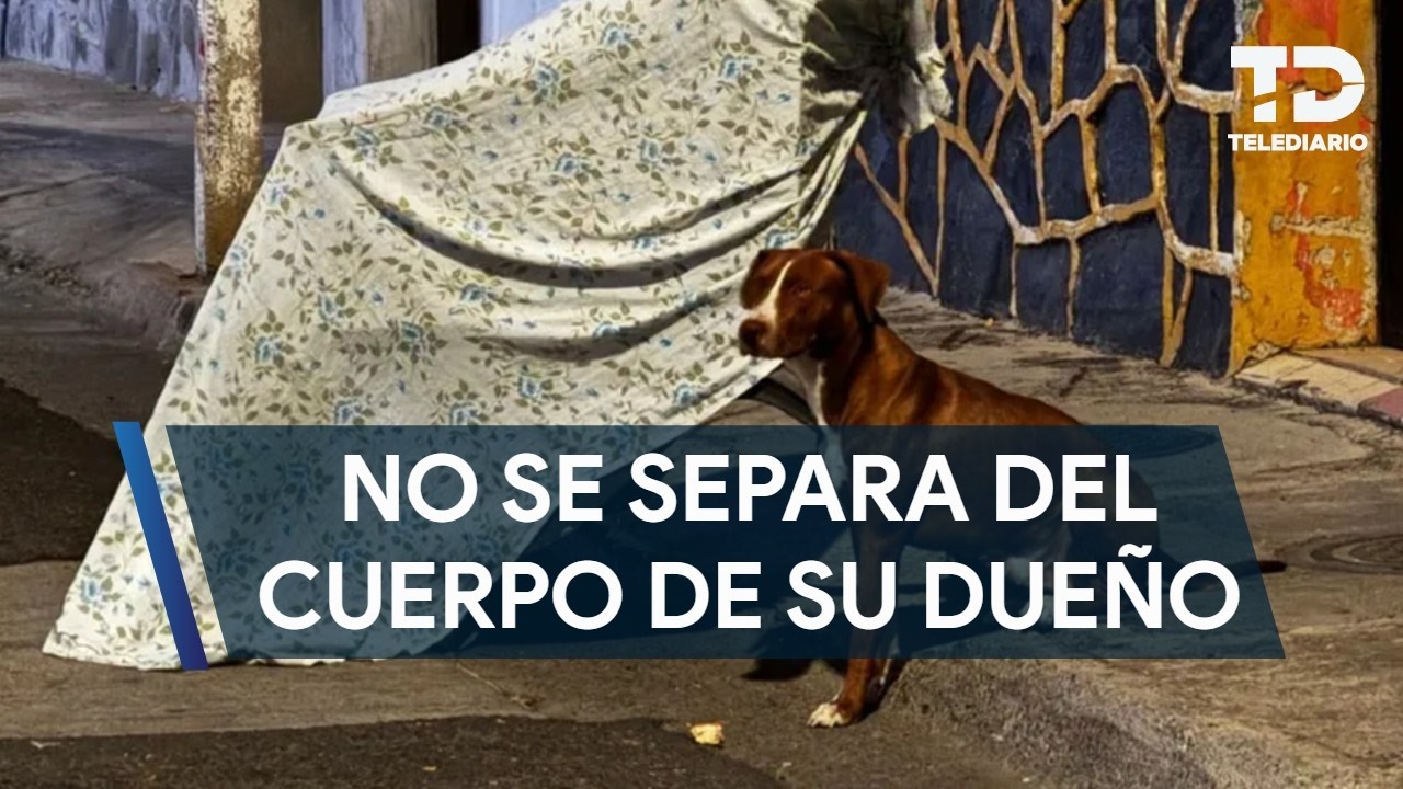 Hombre muere en la vía pública en Guadalajara y su perrito no se separa de él