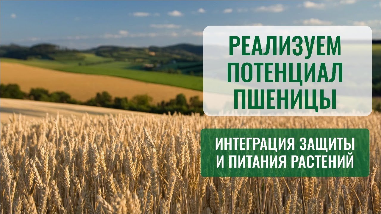Интегрированная система защиты озимой пшеницы от НВП 