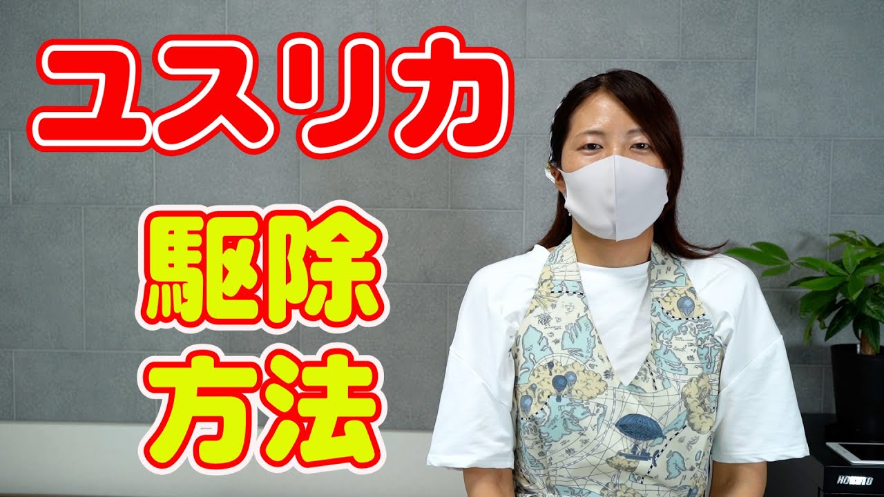 【ユスリカ対策】大群で発生する蚊にそっくりな虫。ユスリカ びわこ虫 蚊柱対策 かんたんユスリカ駆除方法！！