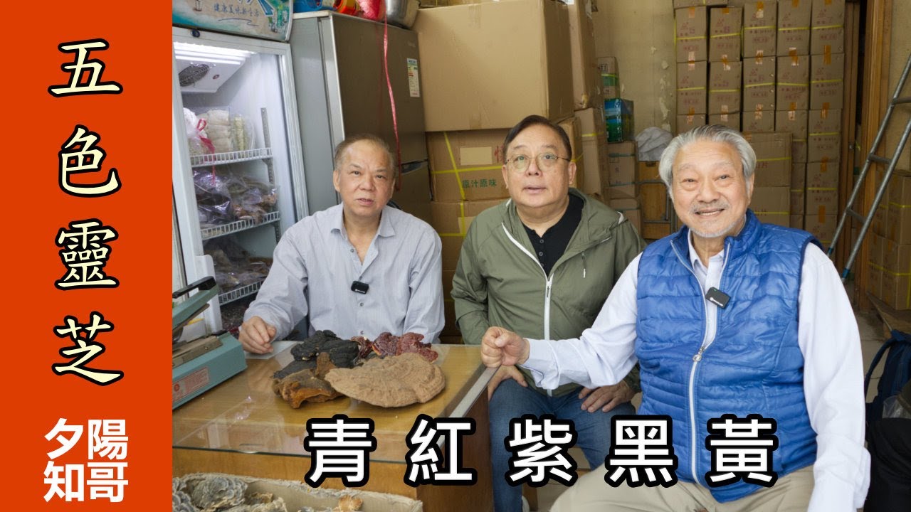 中藥篇 28｜五色靈芝｜青紅紫黑黃 | 靈芝孢子?