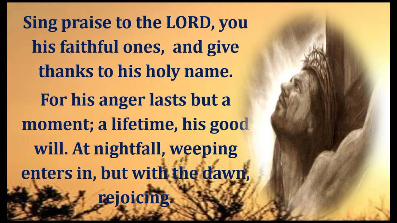 I will praise you Lord,  for you have rescued me.