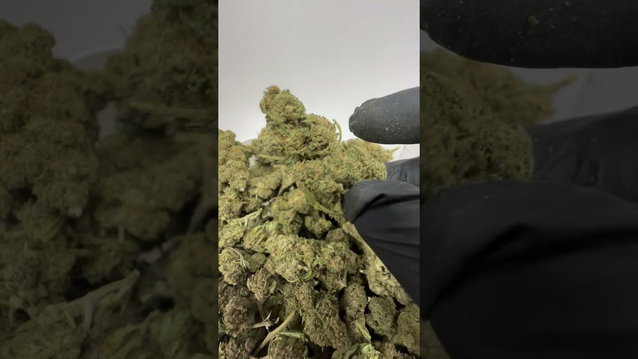 BUBBA KUSH