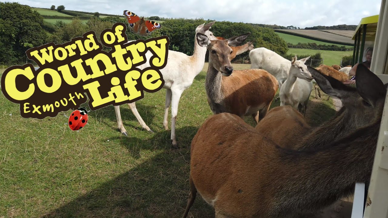 Jenson and Amelia visit the 