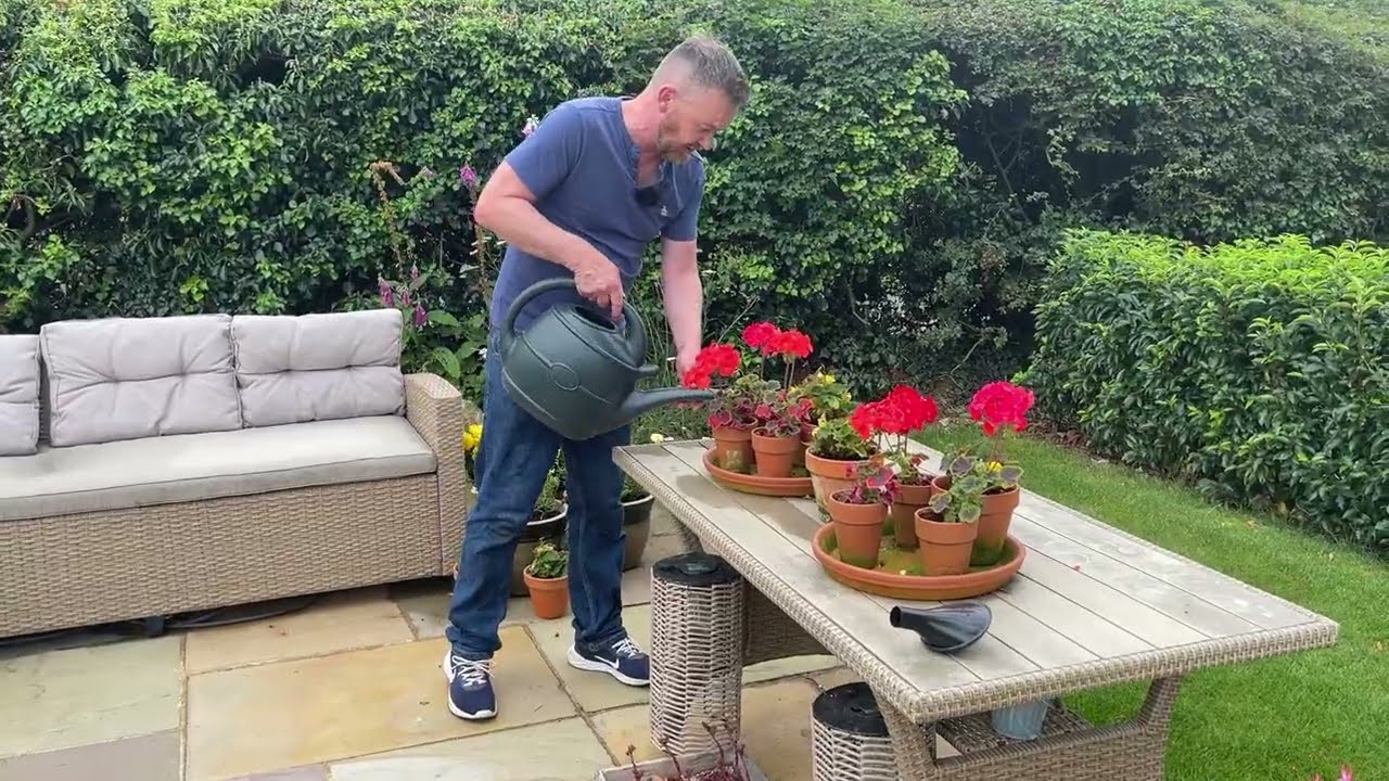 Feeding your plants - Don't forget to feed as well as water your garden for the best results