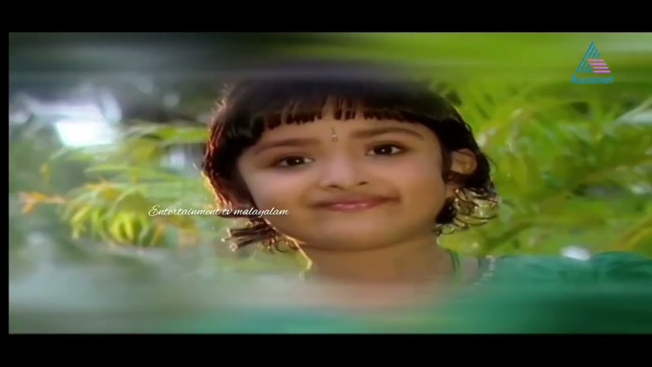 സ്വന്തം സൂര്യപുത്രി ||Swantham suryaputhri serial title song||Asianet 