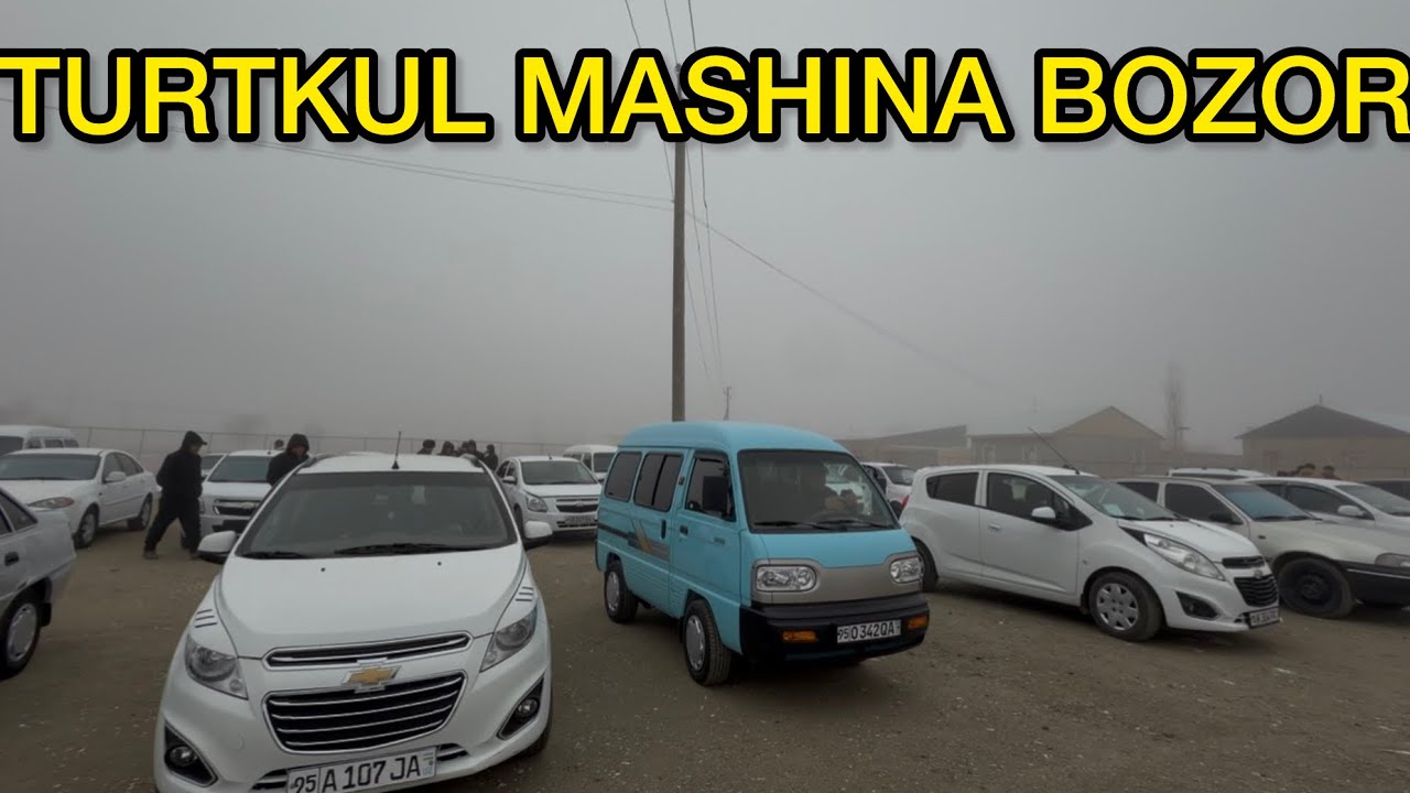 1-fevral, 2026 Turtkul mashina bozori 