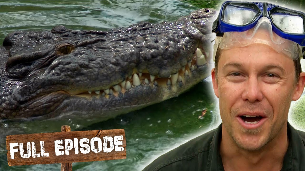 Swimming in a Crocs Pool Is Not For The Faint of Heart! 🐊🤿  WLTF S02 E04 | Full episode | Untamed