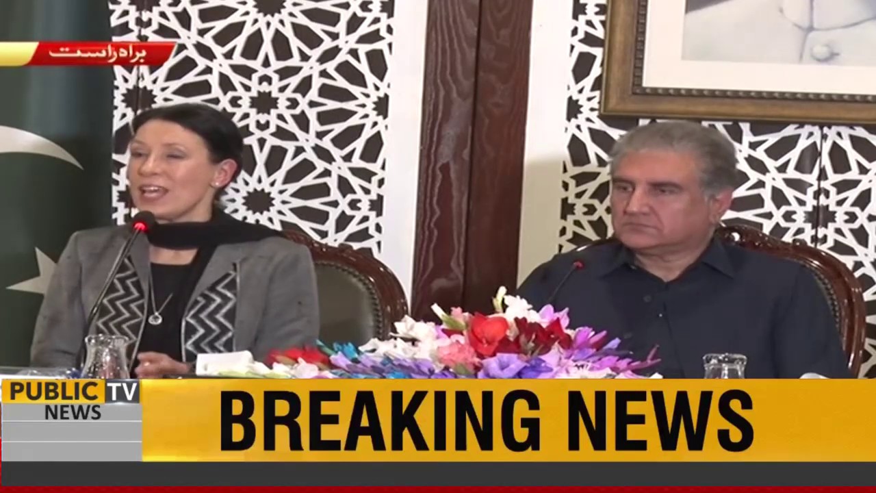 Welcome the positive attitude of Pakistan |  FM Qureshi & UK parliamentarians joint press conference