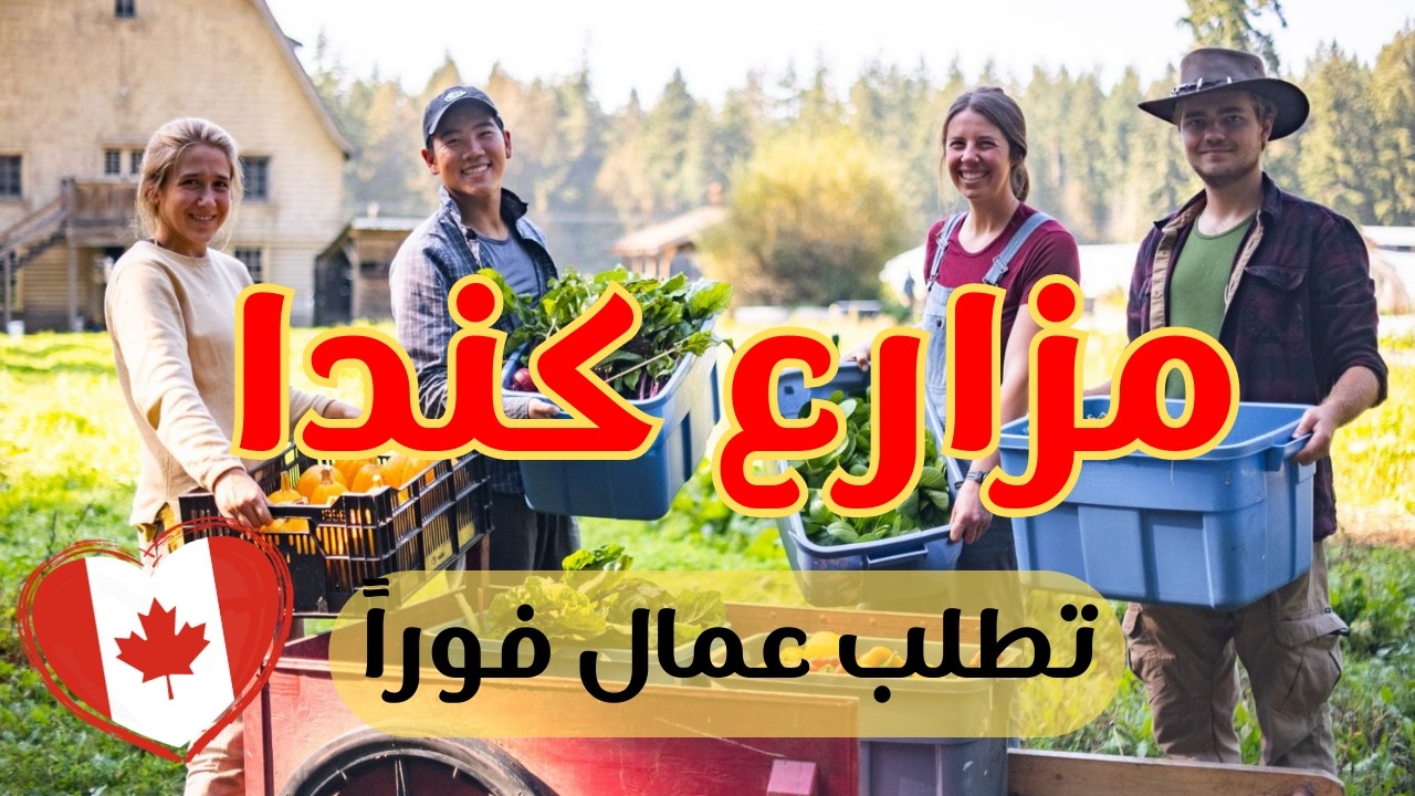 وظائف في مزارع كندا بدون لغة! فرص هجرة سهلة 2025 🇨🇦
