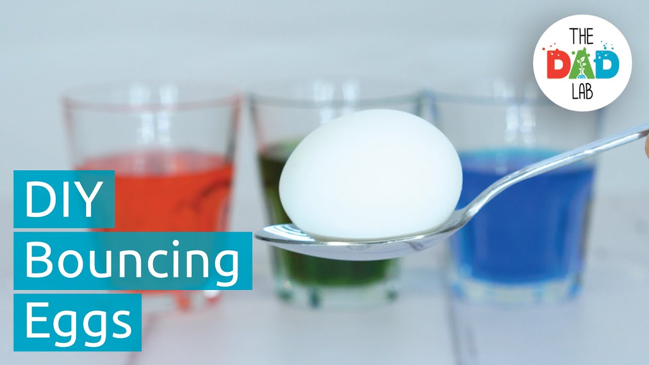 How to Make Bouncy Egg Science Experiment