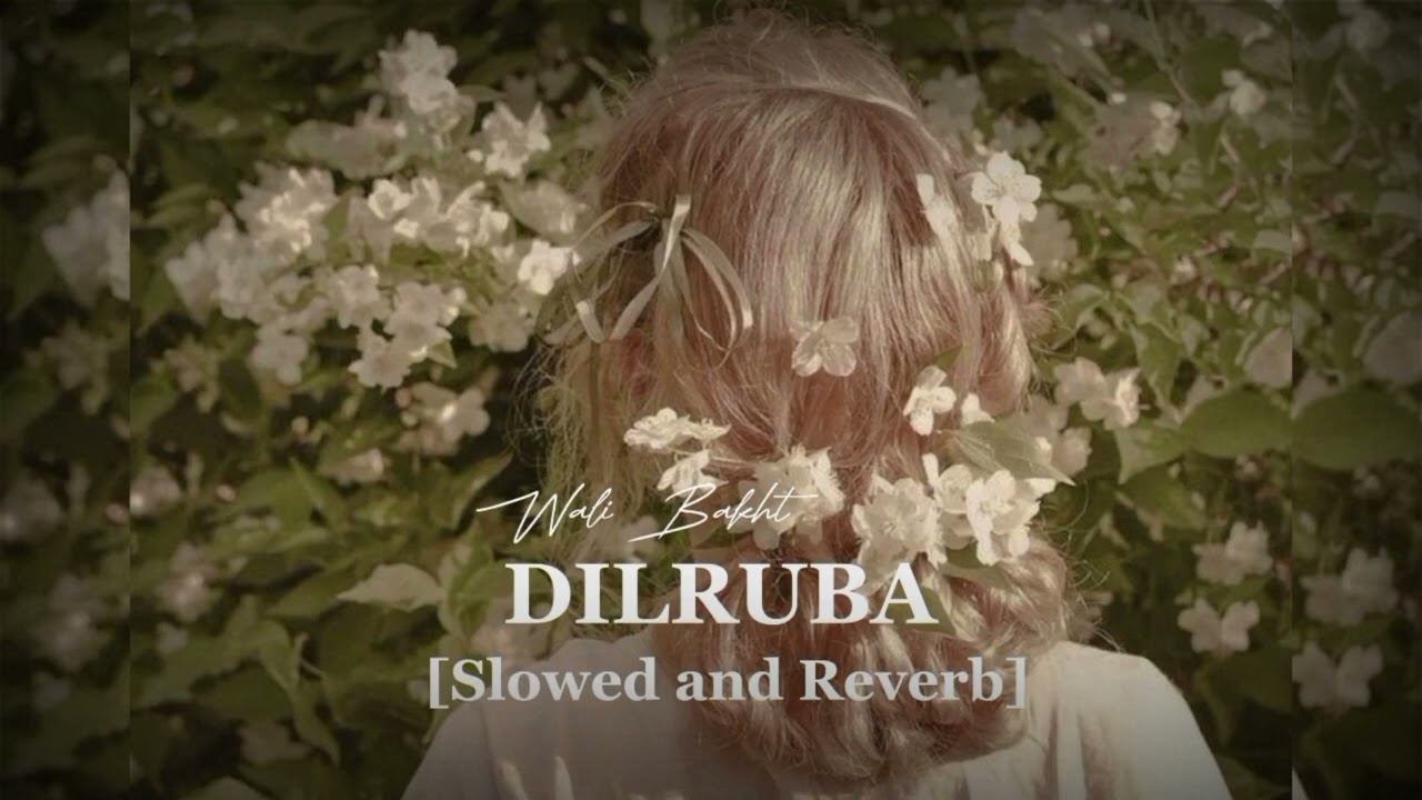 Dilruba - Wali Bakhat | Slowed+Reverb | Trending Song