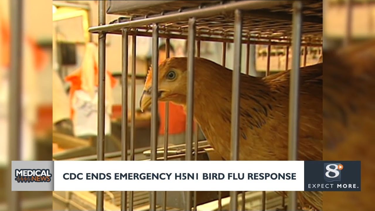 Medical Headlines: CDC ends emergency H5N1 bird flu response