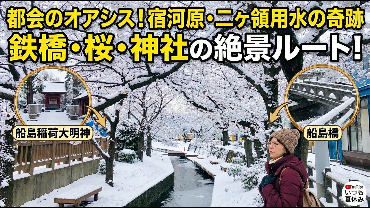宿河原の桜並木と南武線の絶景スポット！二ヶ領用水から船島稲荷大明神へのウォーキングコース