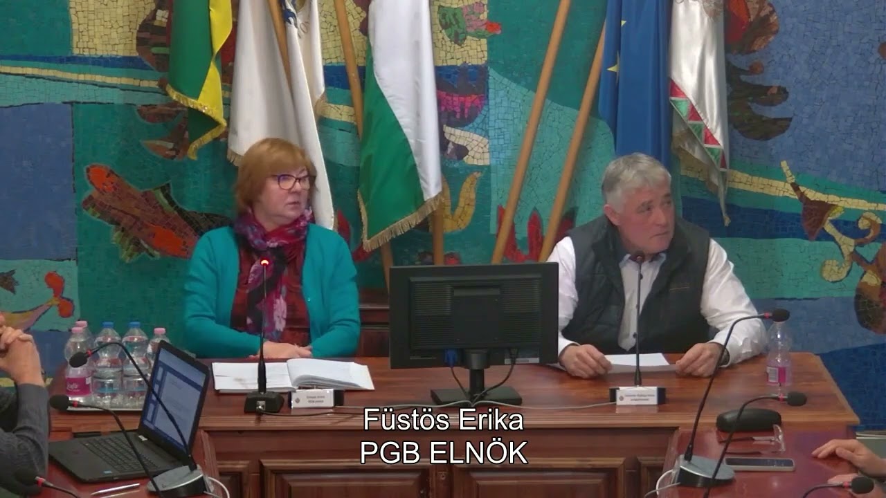 2026.01.15. Pénzügyi és Gazdasági Bizottság rendkívüli ülése