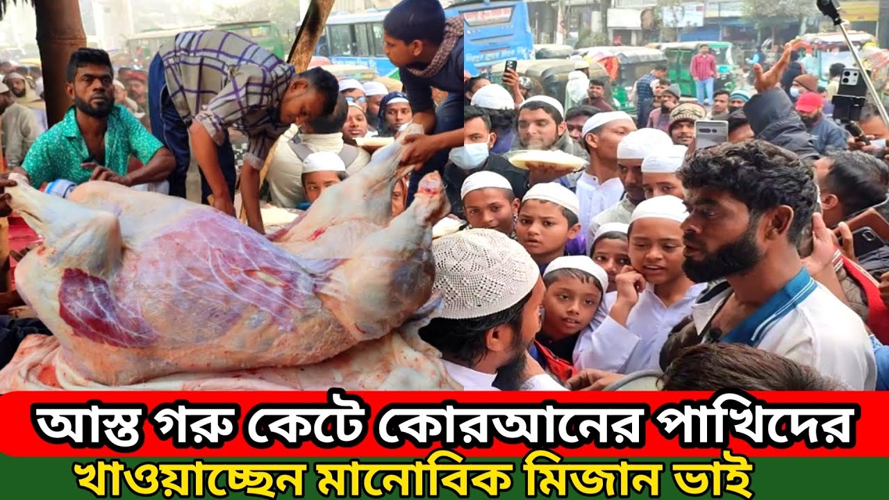 কোরআনের পাখিদের ফ্রিতে আস্ত গরু কেটে খাওয়াচ্ছে মানোবিক মিজান ভাই | 