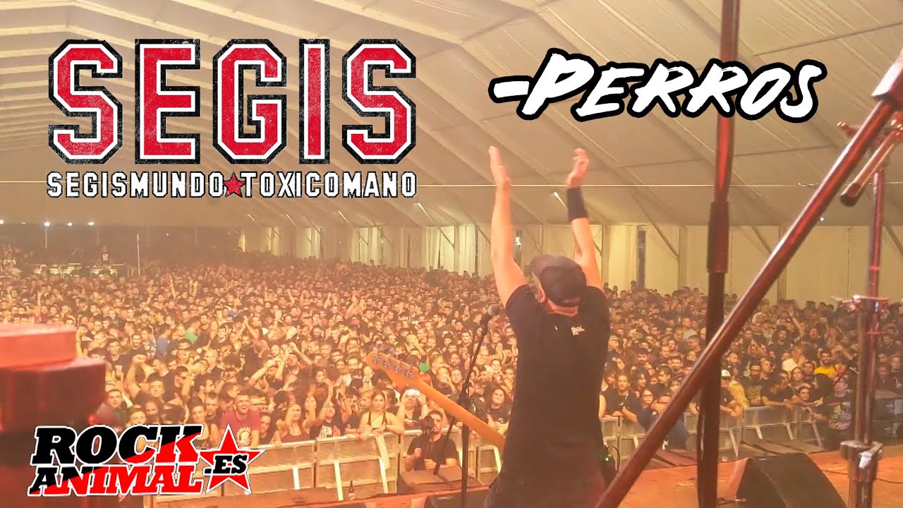 SEGIS -Perros 🔥PINTOR ROCK 2022🔥 #eldirectomasanimal #segis #perros #directo