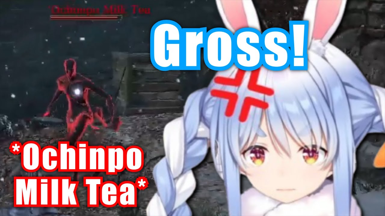 Overseas Bro Stream Sniper Makes Pekora Crash Out【Hololive】