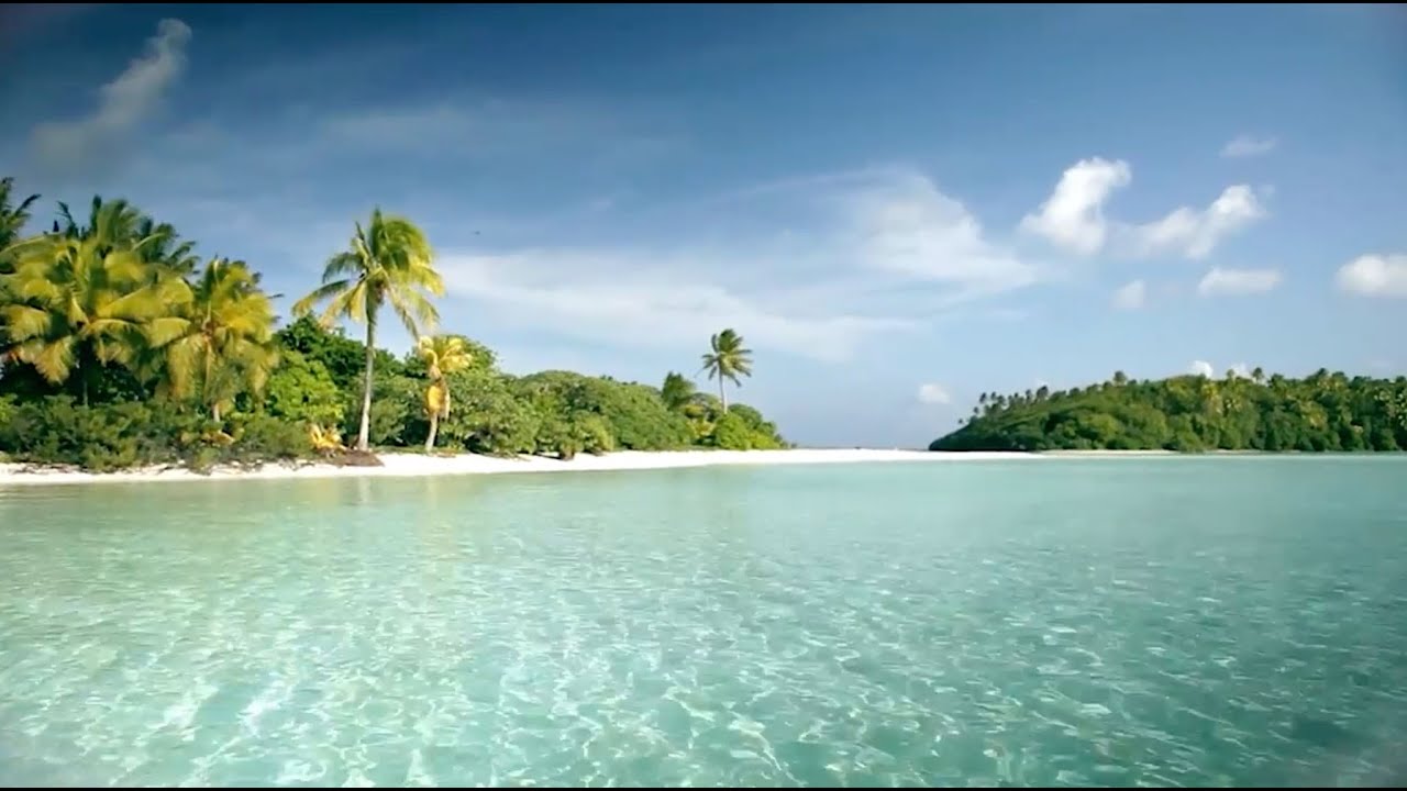 The Brando Resort - Tetiaroa - French Polynesia