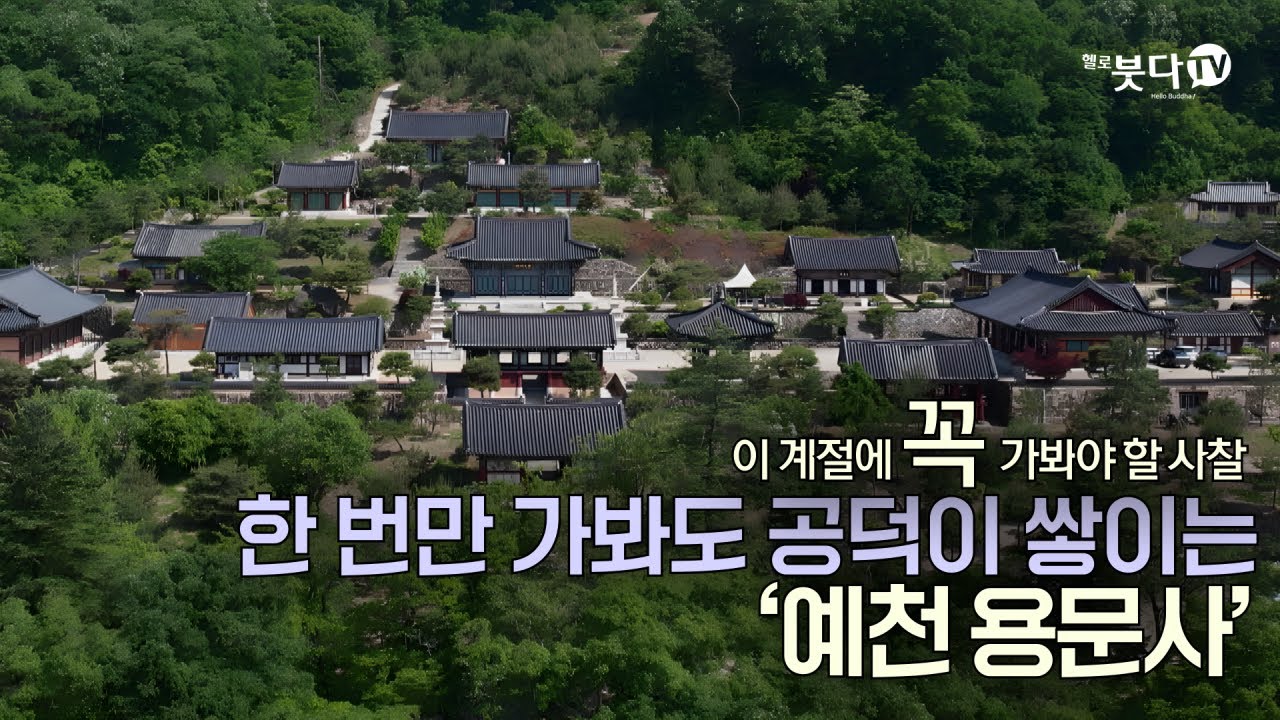 이 계절에 꼭 가봐야 할 사찰 | 한 번만 가봐도 공덕이 쌓이는 '예천 용문사 ' | 전설 설화 이야기 | 문화 역사 | 여행 가족여행 템플스테이